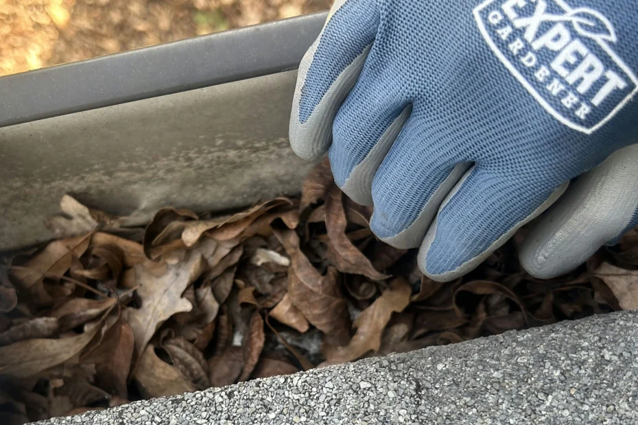 Gutter Cleaning Bunker Hill Village, TX